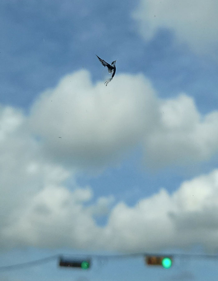 Вы не поверите, но эти 10 фотографий не фотошоп