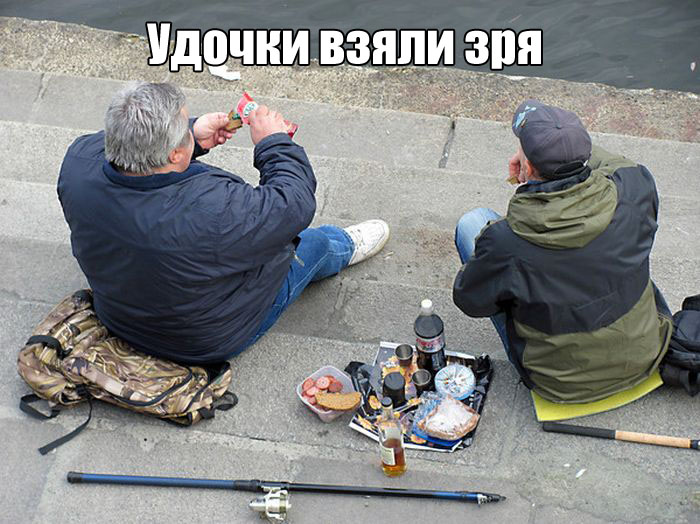 Прикольные картинки