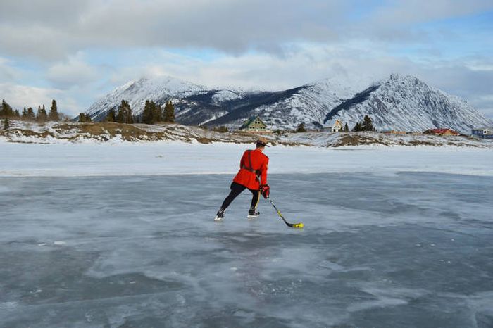 Прикольные картинки