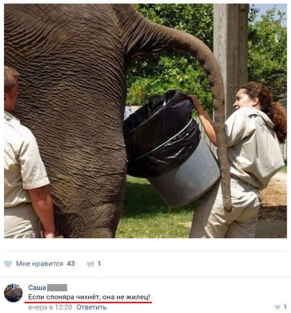 Самое смешное из соцсетей