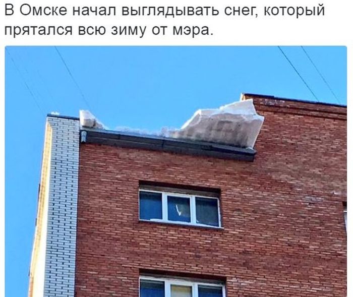 Самое смешное из соцсетей