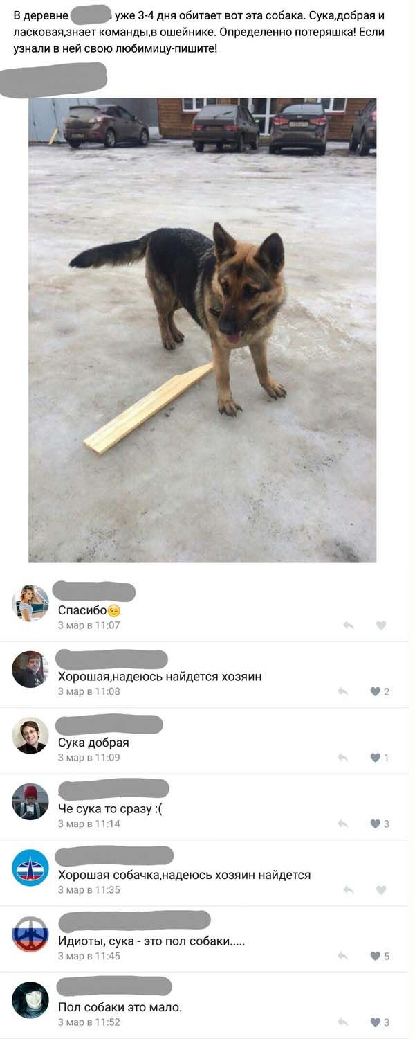 Самое смешное из соцсетей