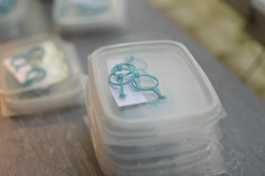 Как гранят алмазы Как гранят алмазы