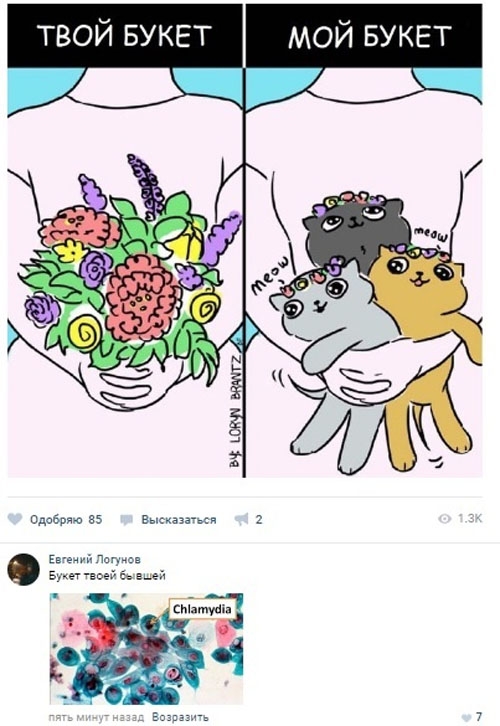 Юмор соцсетей