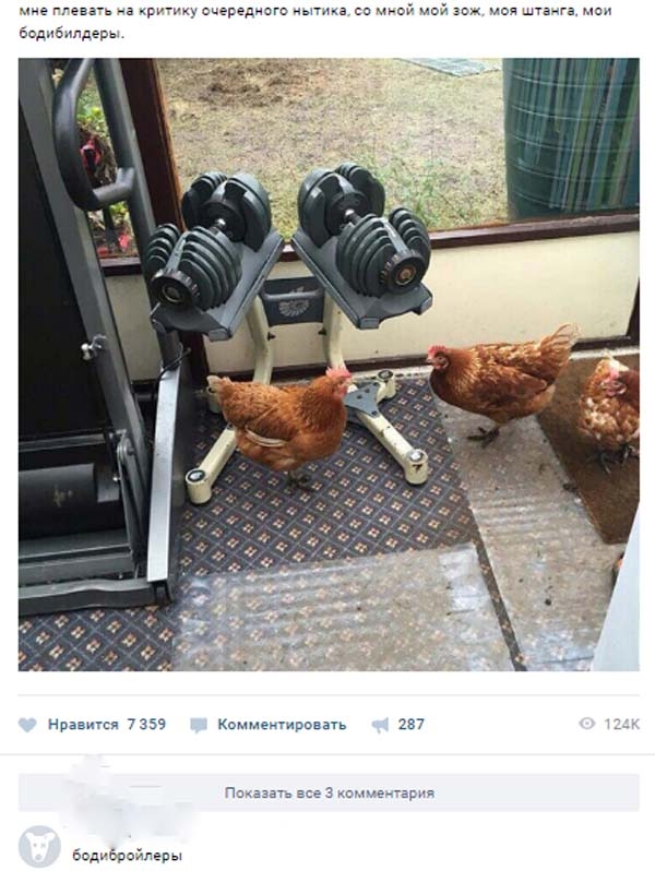 Юмор соцсетей