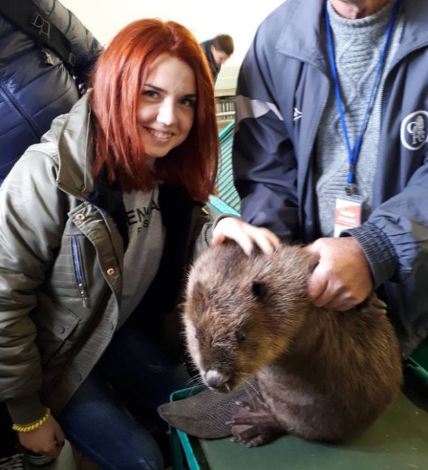 В Воронежском бобронариуме родились бобрята
