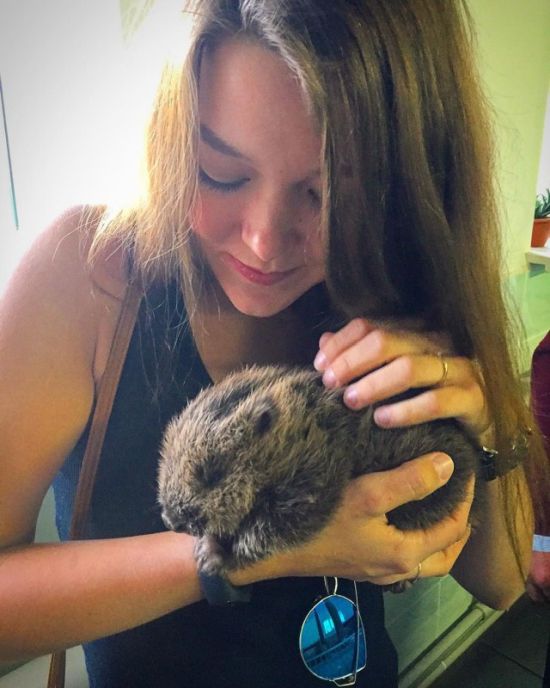 В Воронежском бобронариуме родились бобрята