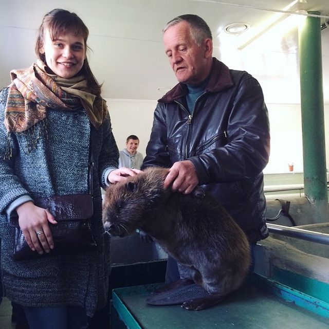 В Воронежском бобронариуме родились бобрята