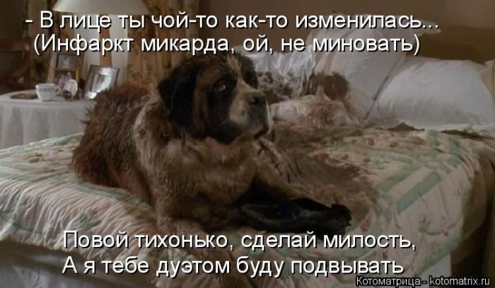 Лучшие котоматрицы недели