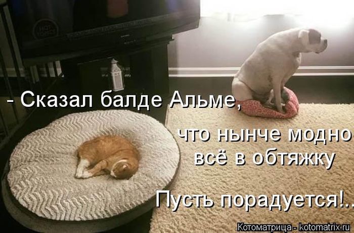 Лучшие котоматрицы недели