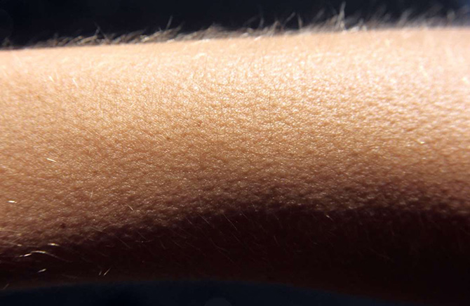 30 интересных фактов о волосах, которые вы не знали