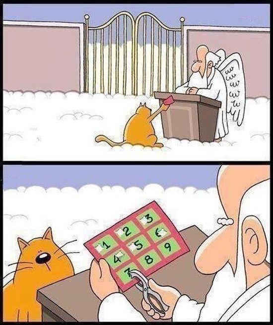 Смешные комиксы