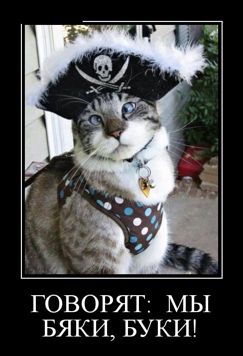 Демотиваторы