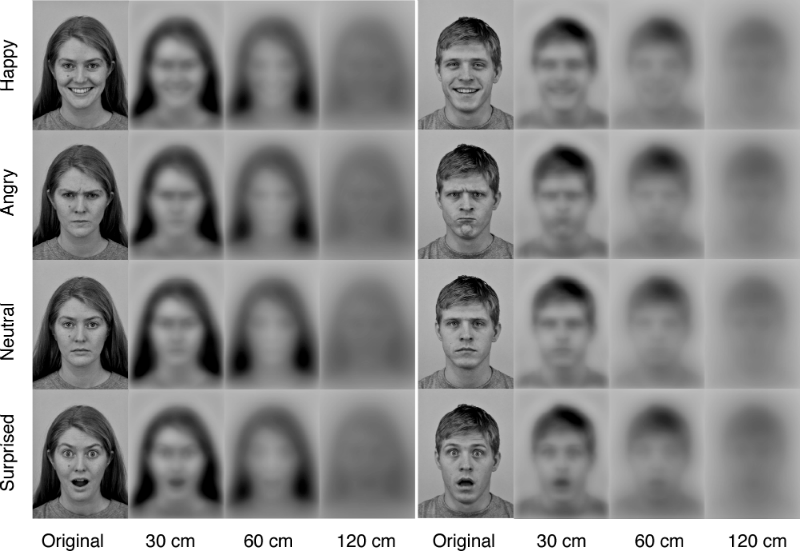 Как младенцы видят родителей Как младенцы видят родителей
