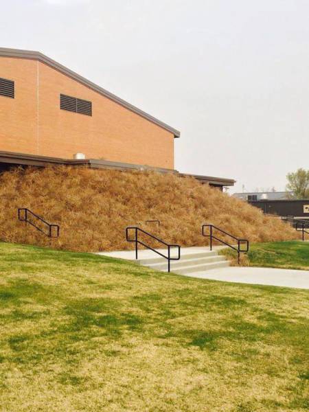 Последствия сильного ветра