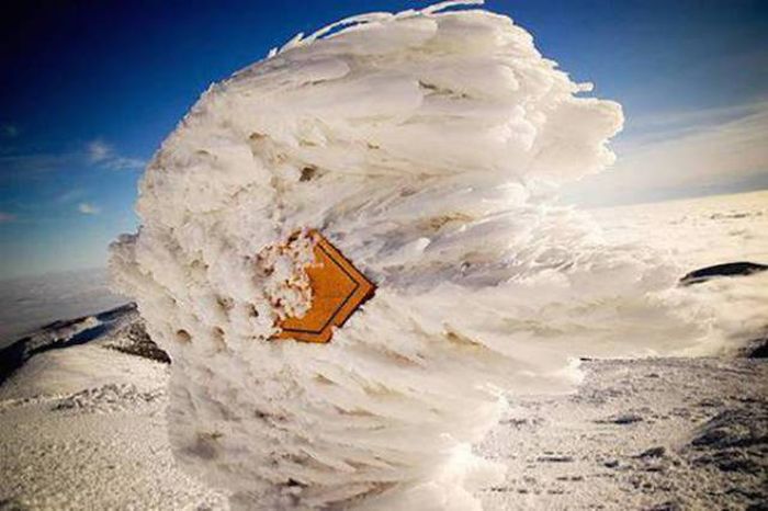 Последствия сильного ветра