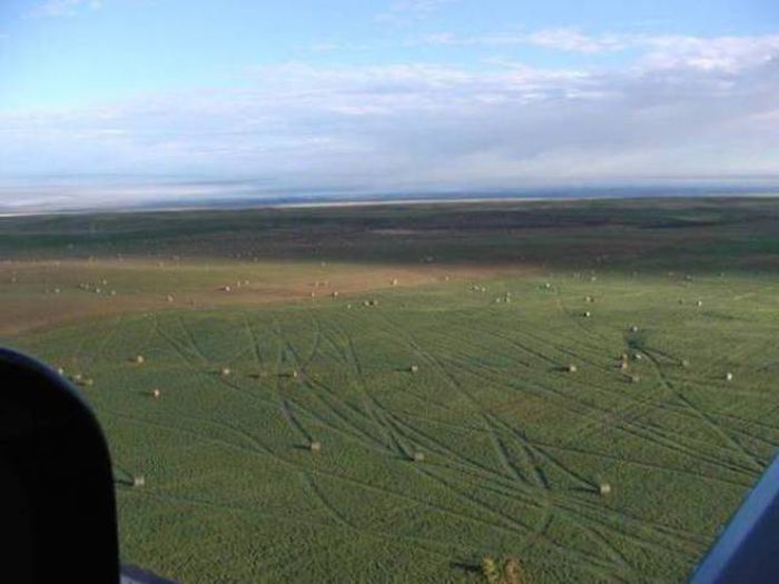 Последствия сильного ветра