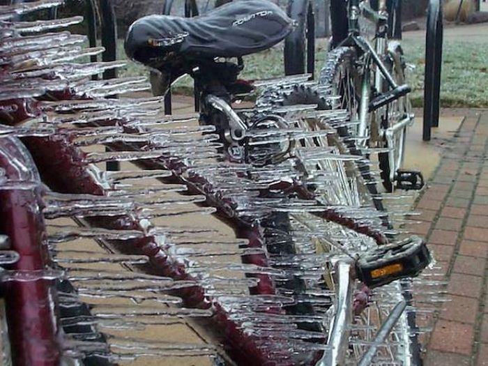 Последствия сильного ветра