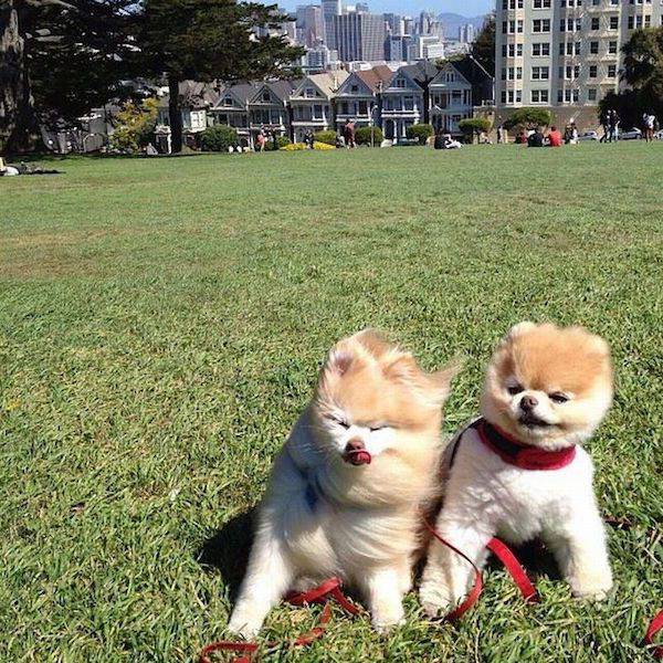 Последствия сильного ветра