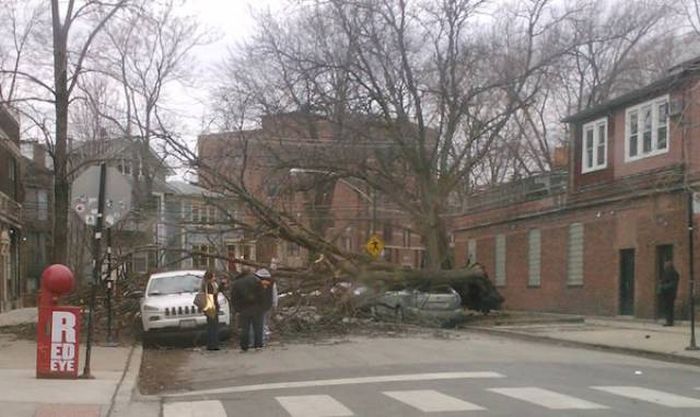 Последствия сильного ветра