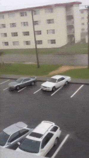 Последствия сильного ветра