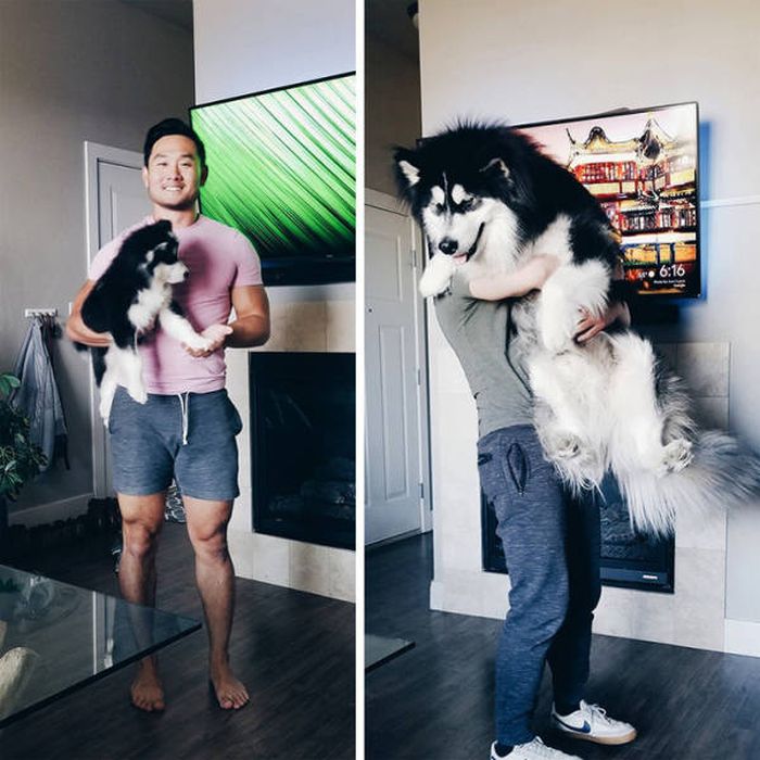 Интересные снимки в формате "до и после"