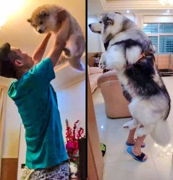 Интересные снимки в формате "до и после"