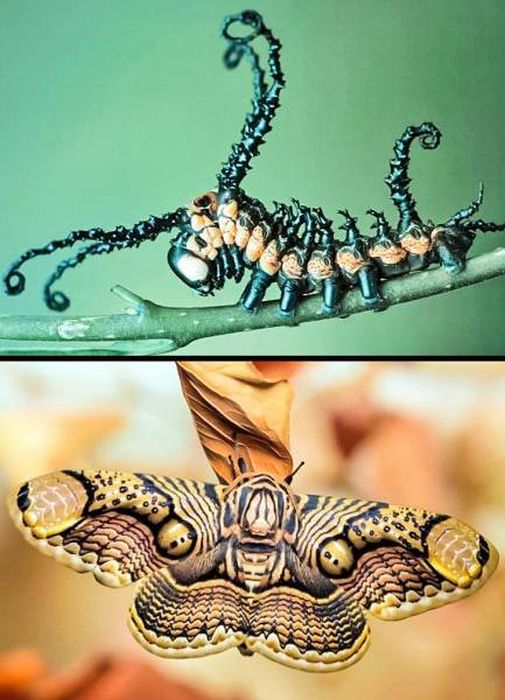 Интересные снимки в формате "до и после"