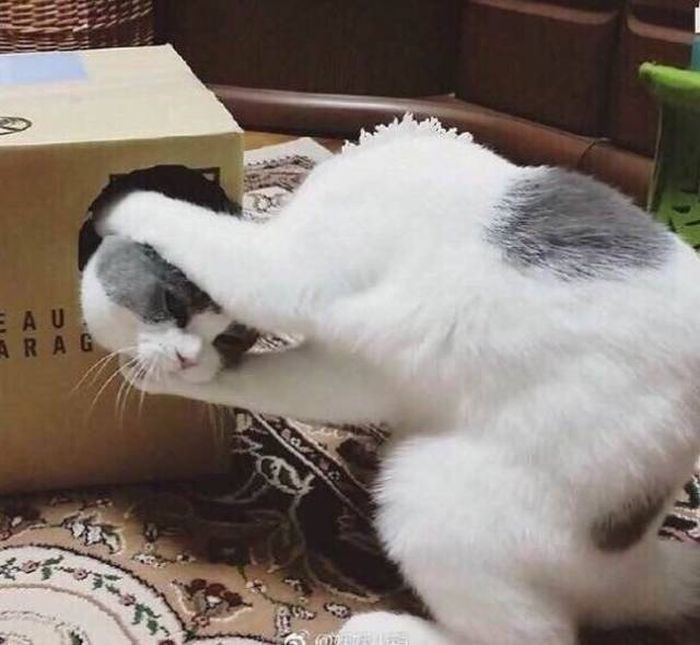 Не верь своим глазам