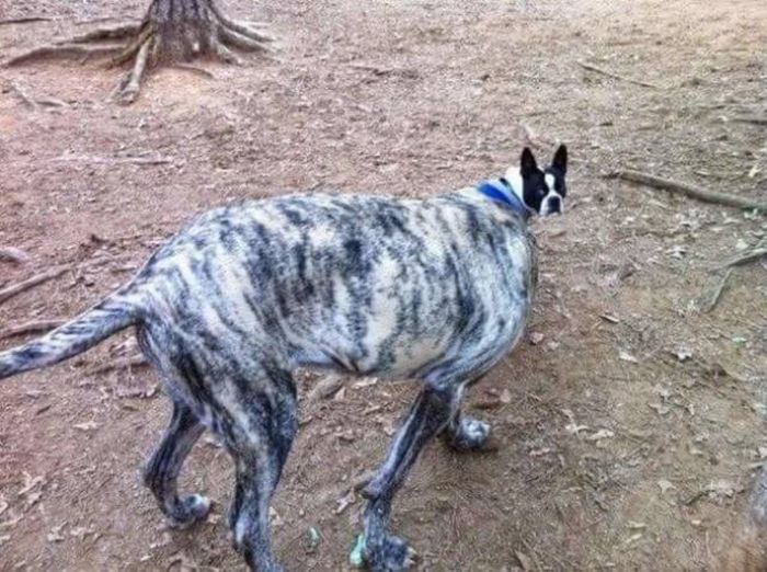 Не верь своим глазам