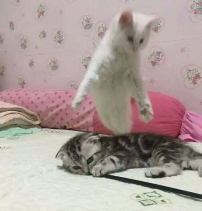 Не верь своим глазам