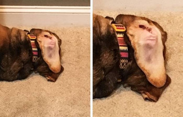 Не верь своим глазам