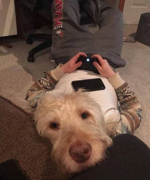 Не верь своим глазам