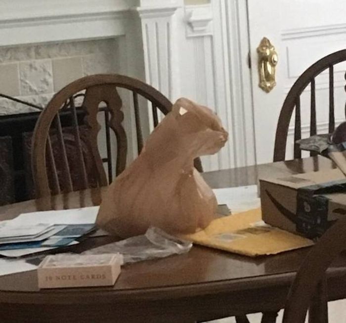 Не верь своим глазам