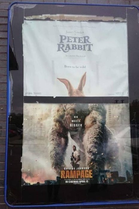 Не верь своим глазам