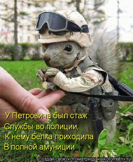 Лучшие котоматрицы недели