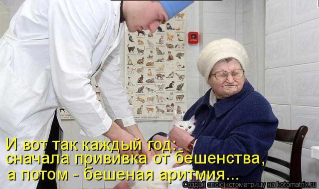 Лучшие котоматрицы недели