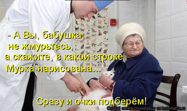 Лучшие котоматрицы недели