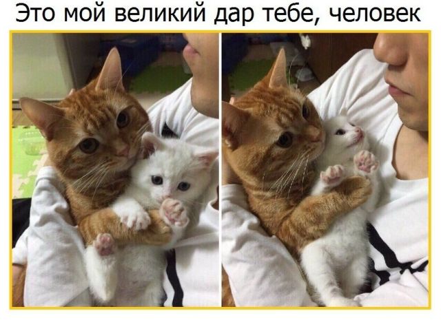 Смешные комиксы