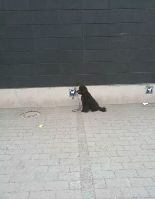 Продуманные вещи в Финляндии, которым могут позавидовать во всем мире