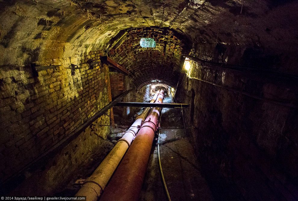 Что находится под фонтанами Петергофа Что находится под фонтанами Петергофа