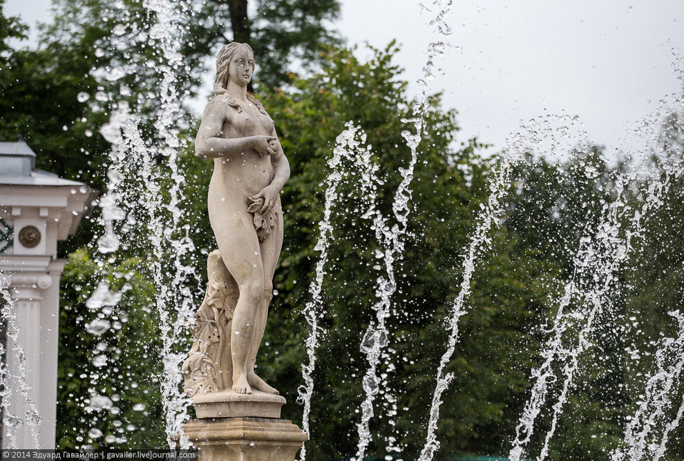 Что находится под фонтанами Петергофа Что находится под фонтанами Петергофа