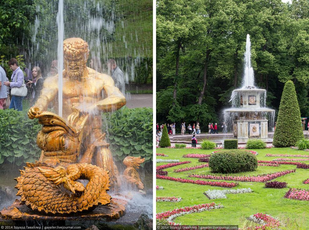 Что находится под фонтанами Петергофа Что находится под фонтанами Петергофа