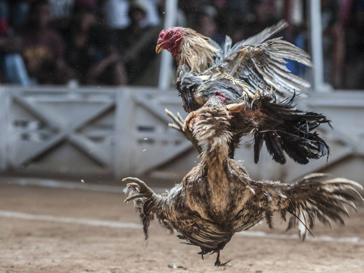 Нелепейшие смерти в человеческой истории