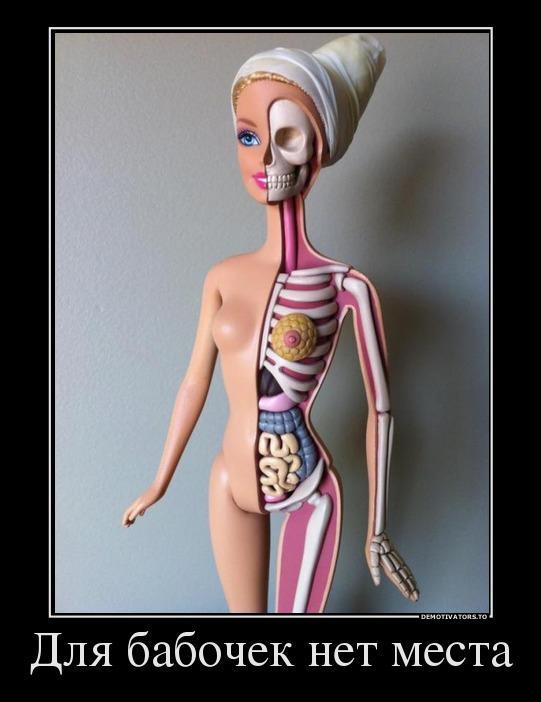 Демотиваторы (70 фото)