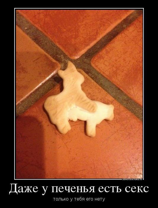 Демотиваторы (70 фото)