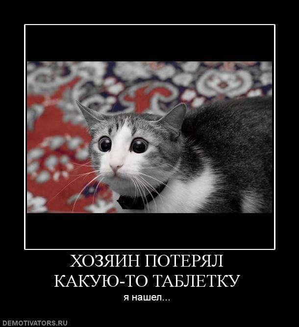 Демотиваторы (70 фото)