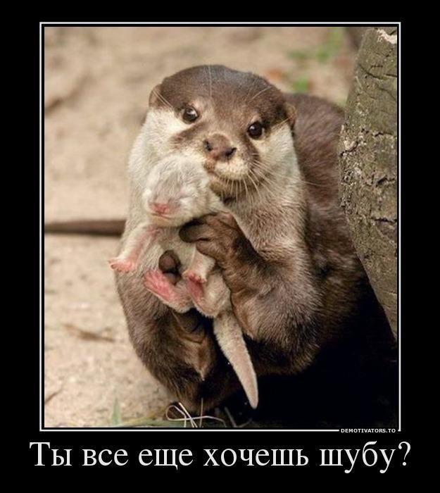 Демотиваторы (70 фото)