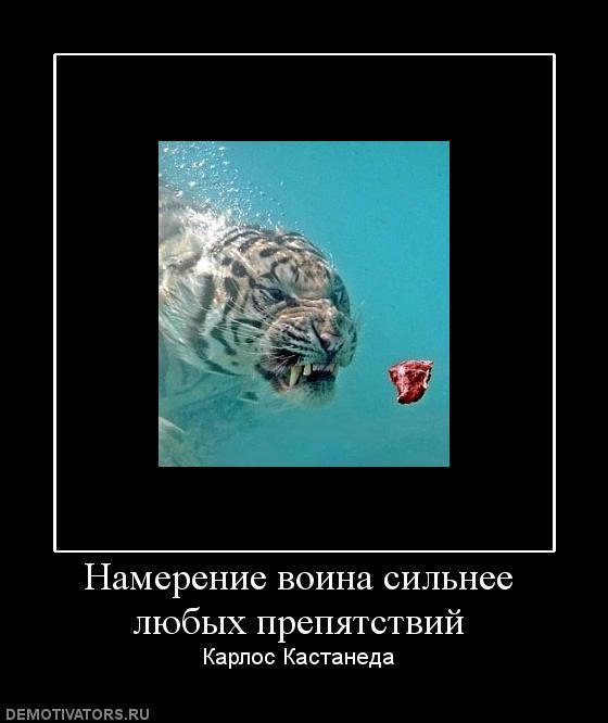 Демотиваторы (70 фото)