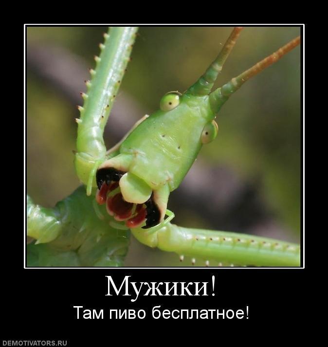 Демотиваторы (70 фото)